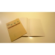 Tian Ge Exercise Book for Chinese Characters
