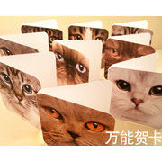 BC009 cards of lovely cats