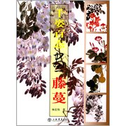 千姿百态画藤蔓  Chinese Painting for Beginners:Vine
