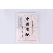 Chinese Japanese <em>Calligraphy</em> Practice Xuan Rice Paper Pack 100 Sheets 34cmx70cm
